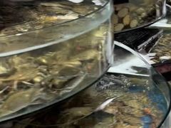 -蓝珊甄选海鲜自助·火锅大排档(近阿那亚店)