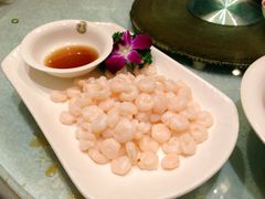 清朝野生河虾仁-申宴酒楼(王子百货店)