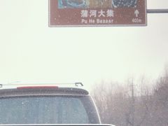 -蒲河大集