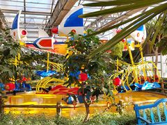 -南宫五洲植物乐园