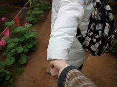 -淄博花灯齐彩城