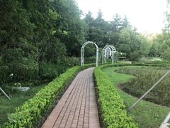 -昆山城市生态森林公园