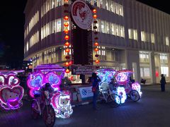 -马六甲鸡场街