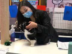 -天虹购物中心(石路店)