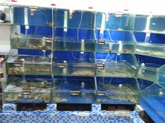 -雅逸居海鲜小厨