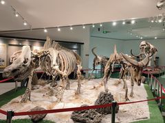 -南通洲际绿博园