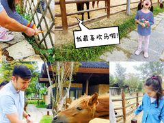 -南京市无想山景区