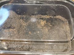 -叶氏麻糍(鼓浪屿店)