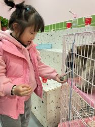 -Moni星球萌宠·小马宝莉·灵蛇·高端高阶全萌宠互动体验俱乐部(红豆国际广场店)