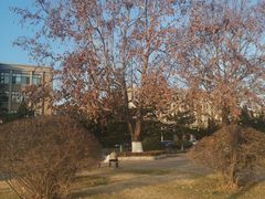 -大连理工大学(凌水校区)