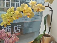 -懒人盐府人家(航天桥店)