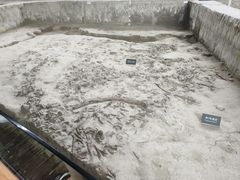 -金沙遗址博物馆