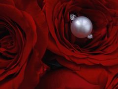 -MIKIMOTO(上海恒隆广场店)