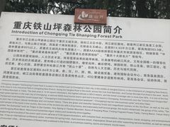 -铁山坪森林公园