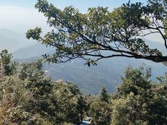 -梧桐山风景名胜区