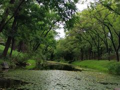-承德避暑山庄景区