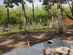 -哈尔滨大剧院