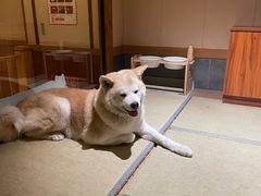 -大江户·温泉洗浴(浑南店)