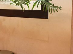 -Bamboo Today Cafe(国创园店)