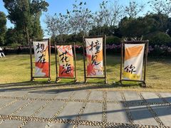 -径山花海