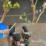 🉑爱治愈系小动物谁能不爱？周末亲子游宝藏地，济南萌宠乐园
