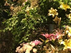 -春暖花开(西溪店)