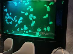 -渔火·特色餐厅(佘山世茂洲际酒店)