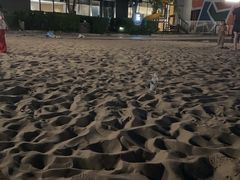 -上海佘山世茂艾美酒店