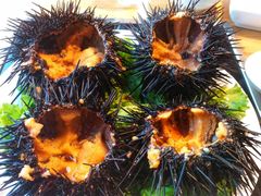 -小平岛開海水饺(浑南店)