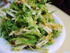 凉拌苦菊-华春餐馆(鱼山路店)