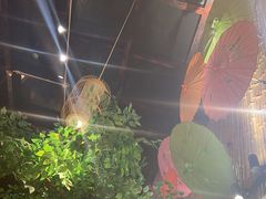 -大理董·董家小厨野生菌火锅(古城旗舰店)