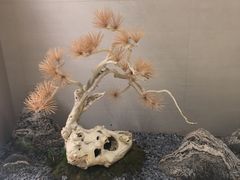 -长嘉·河图火锅(长嘉汇江景旗舰店)