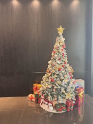 -丽妍雅集 Rubis SPA
