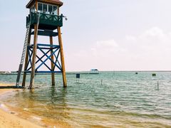 -碧海金沙