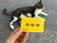 -西园寺素食(西园弄戒幢律寺店)