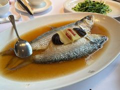 -苏浙汇(肇嘉浜路总店)