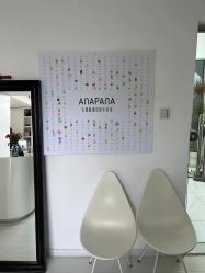 -安那般那皮肤年轻化ANAPANA