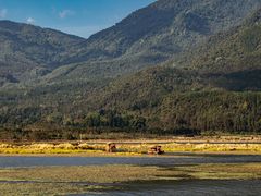 -腾冲北海湿地