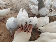 -贵安欢乐世界
