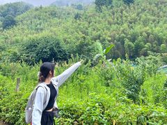 -千泷沟大瀑布旅游区