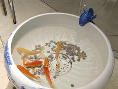 -华夏典当行(龙德广场店)