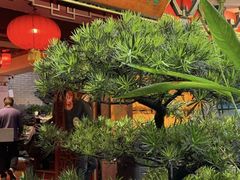 -山水茶艺馆·点心粤菜·30年老字号