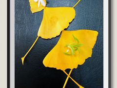 -苏州河梦清园环保主题公园