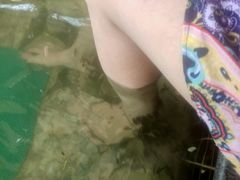 -白鹿温泉加勒比水上乐园
