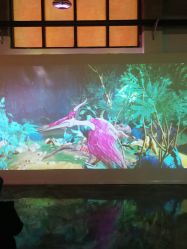 -恐龙探索乐园(磁器口店)