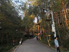 -梦幻奥陶纪景区