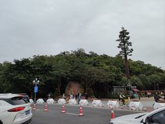 -野狸岛