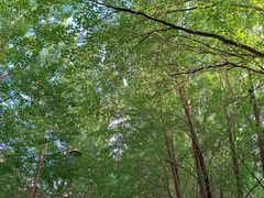 -长春公园(普阳街道)