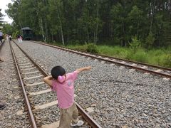 -莫尔道嘎国家森林公园