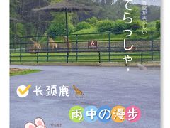 -沈阳森林动物园